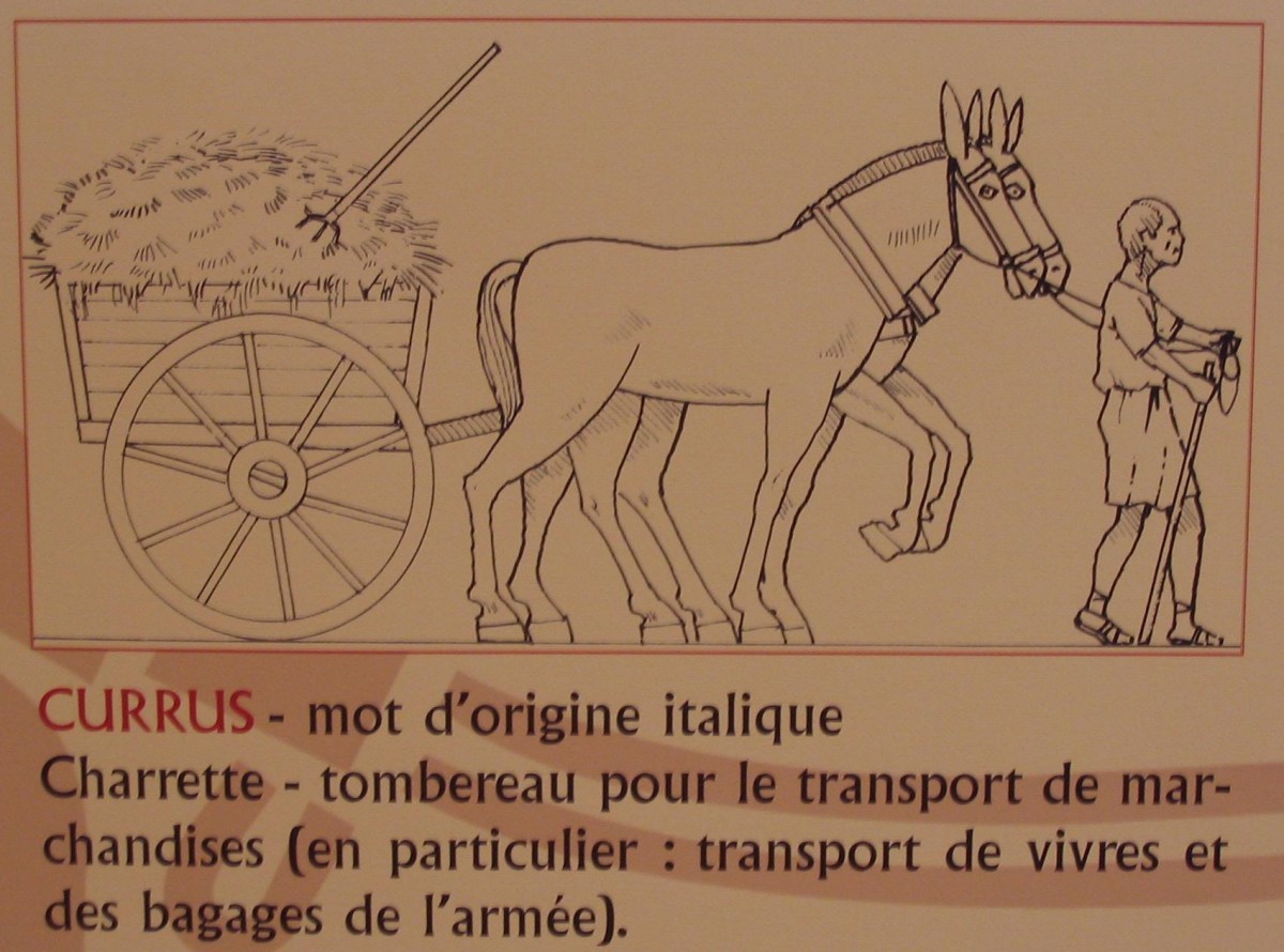 schema currus.jpg